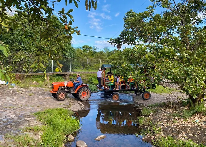 Complejo Turistico Navar City